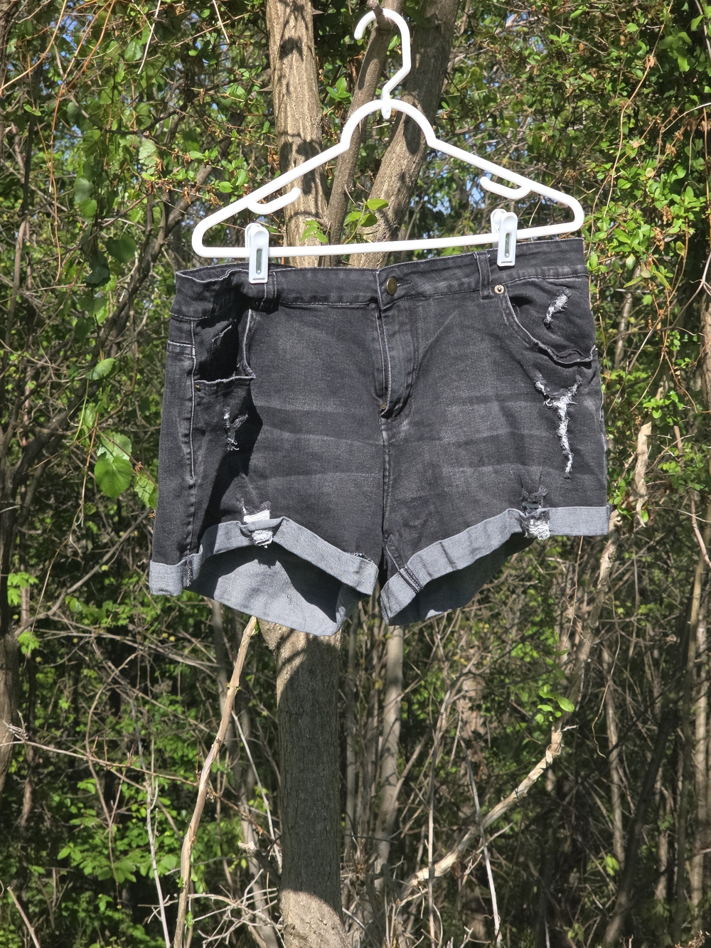 Black Distressed Cuffed Women's Denim Shorts